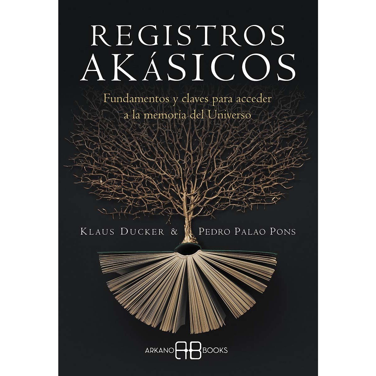 Imagem 0 de Registros akásicos: Fundamentos y claves para acceder a la memoria del Universo (Capa mole com abas)