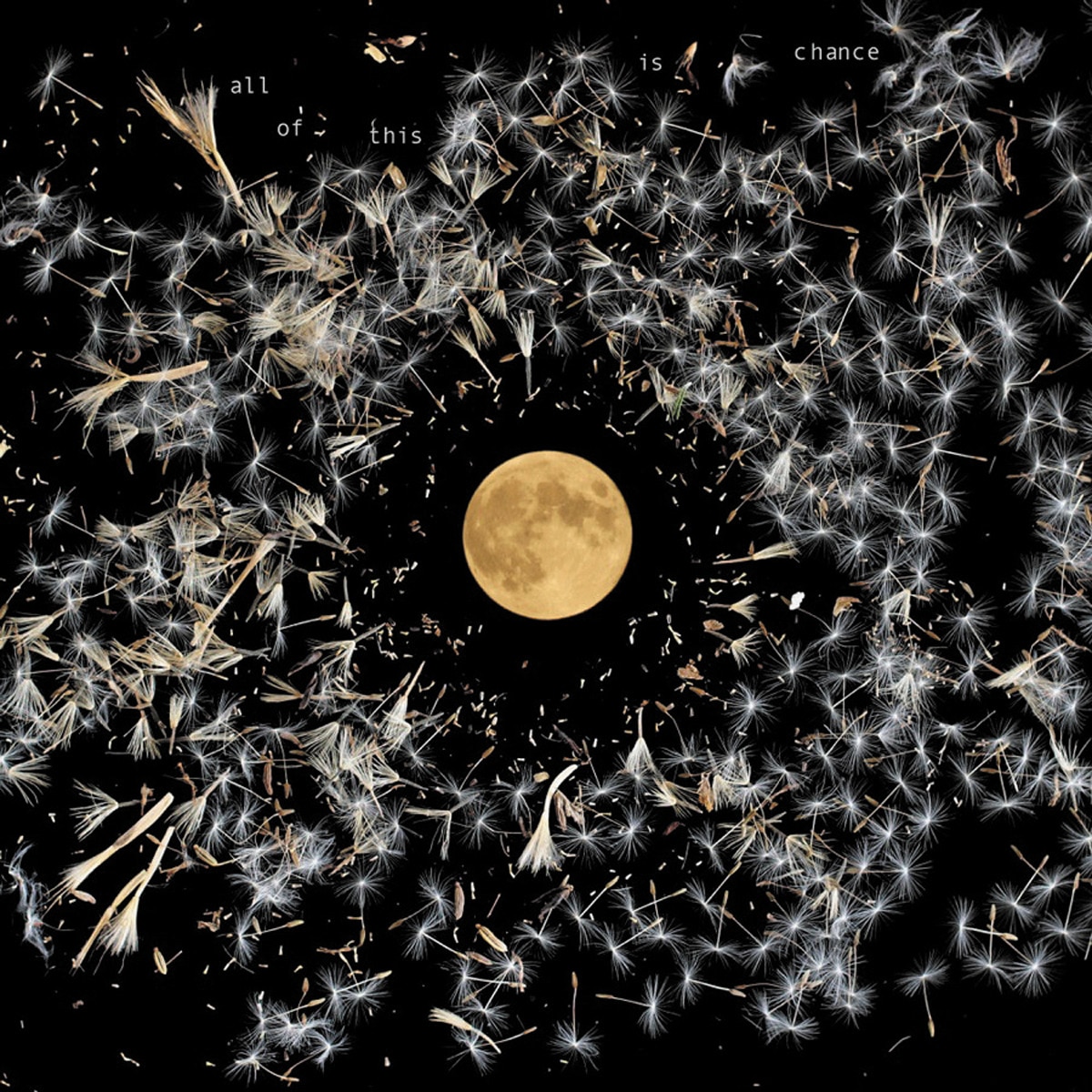Imagem 0 de All of this chance (LP-Vinil)
