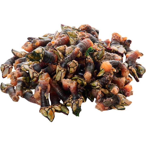Percebes Médio Peso Aproximado por kg