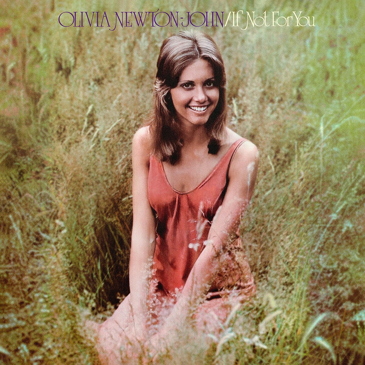 Imagem 0 de If not for you (LP-Vinil)
