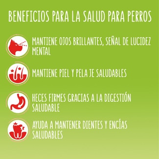 Vitafit Active pienso para perros adultos con buey saco 15 kg - Friskies