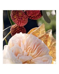Eau de parfum Chloé Signature Chloé