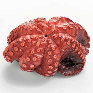 Pulpo cocido peso aproximado