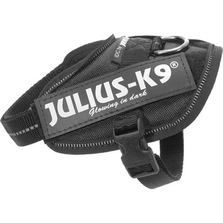 JULIUS K9 arnés para perros color negro Baby 2 Power Harness 1 unidad