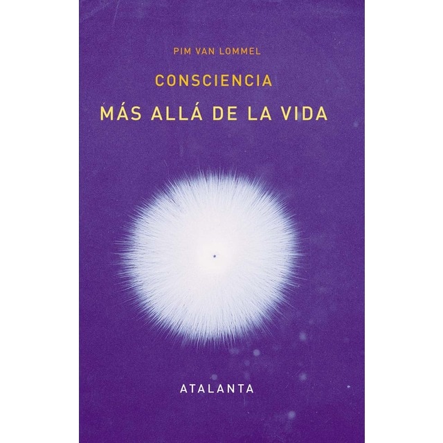 Consciencia más allá de la vida