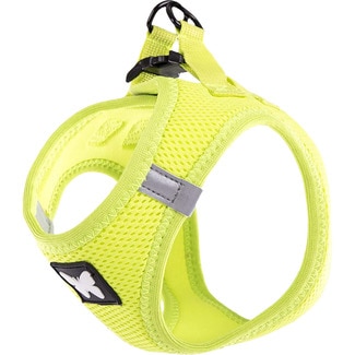 MARTIN SELLIER lime dog harness size S for mini breed dogs 1 each