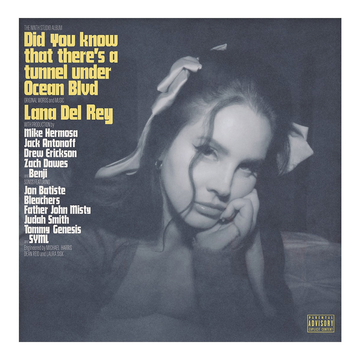 Imagem 0 de Did you know that there's a tunnel under Ocean Blvd (2 LP-Vinil)
