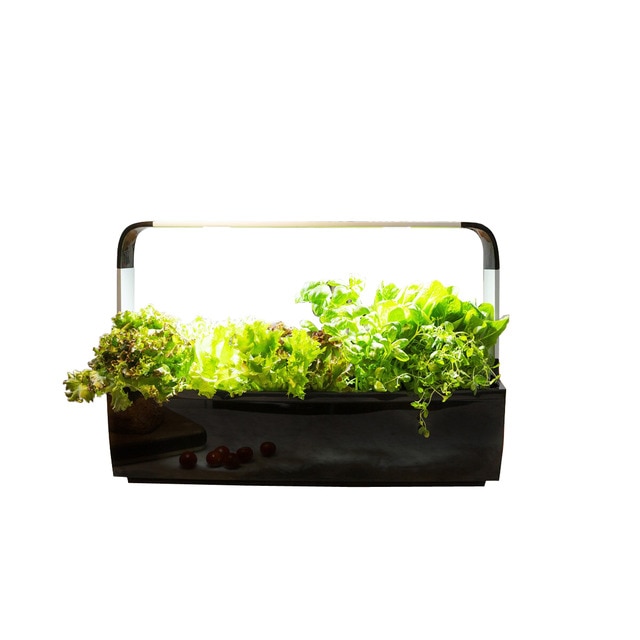 Huerto de Cocina Tregren T12 Negro