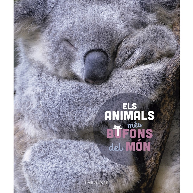 Els animals més bufons del món