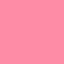 Rosa Rosa