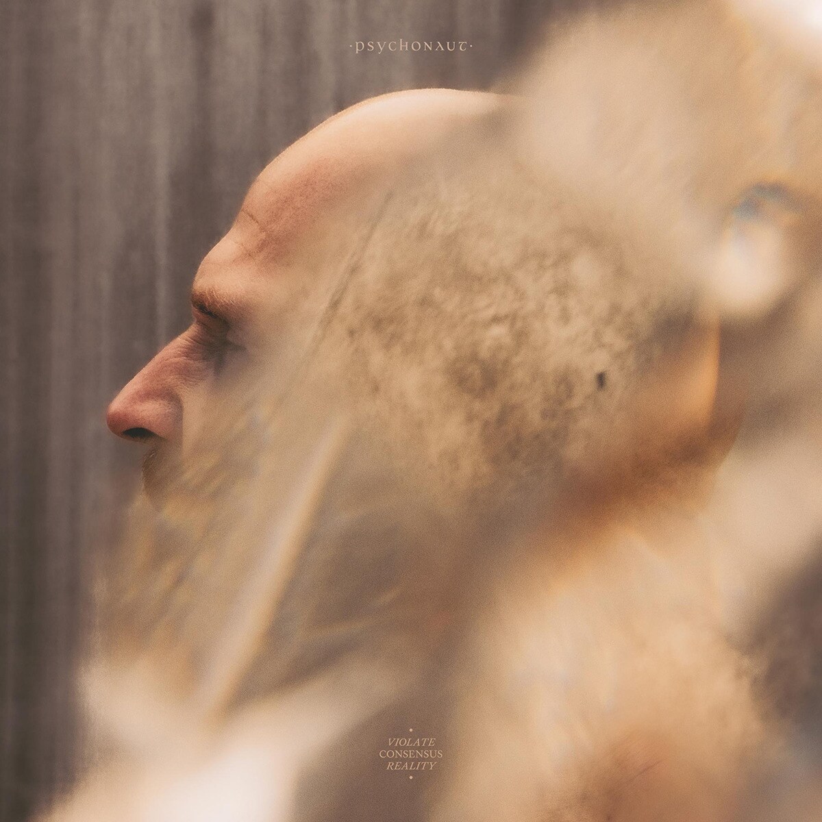 Imagem 0 de Violate consensus reality (2 LP-Vinil)