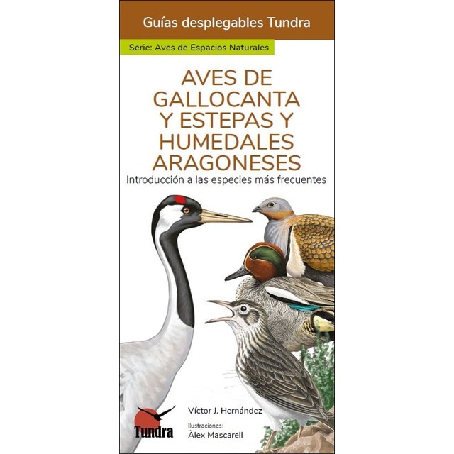 Aves de gallocanta y estepas y humedales aragonese