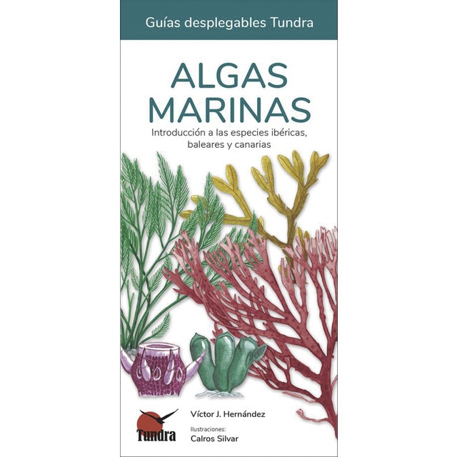 Algas marinas - guias desplegables tundra
