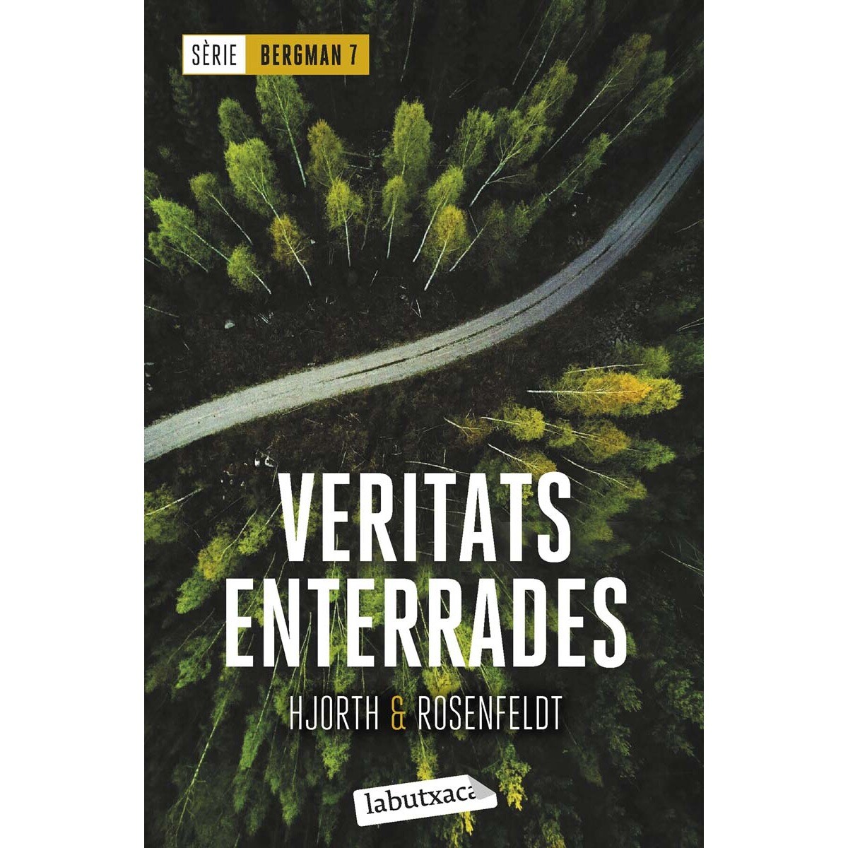 Imagem 0 de Veritats enterrades: Sèrie Bergman 7 (Bolso)