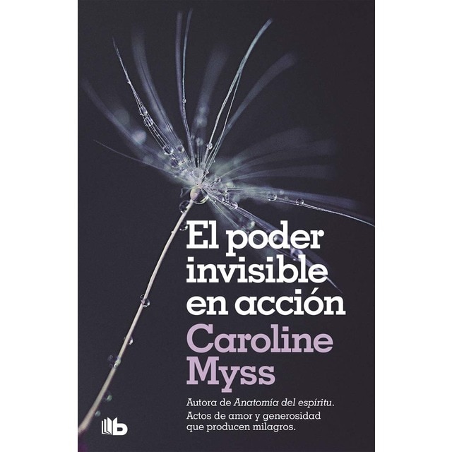 El poder invisible en acción (Bolsillo) (Tapa blanda)