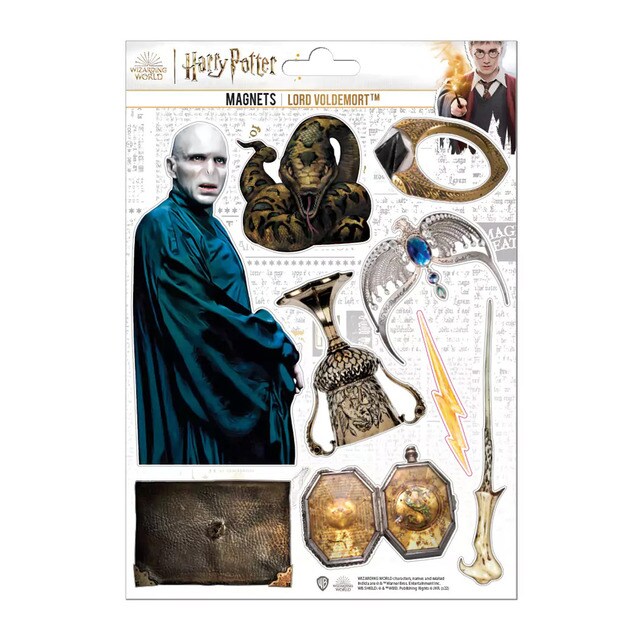 Set Imanes Voldemort Harry Potter.