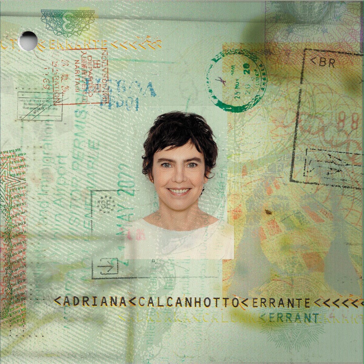Imagem 0 de Errante (LP-Vinil)