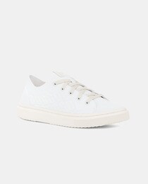 Chaussures femme Alameda basses style chaussettes avec imprimé de la marque