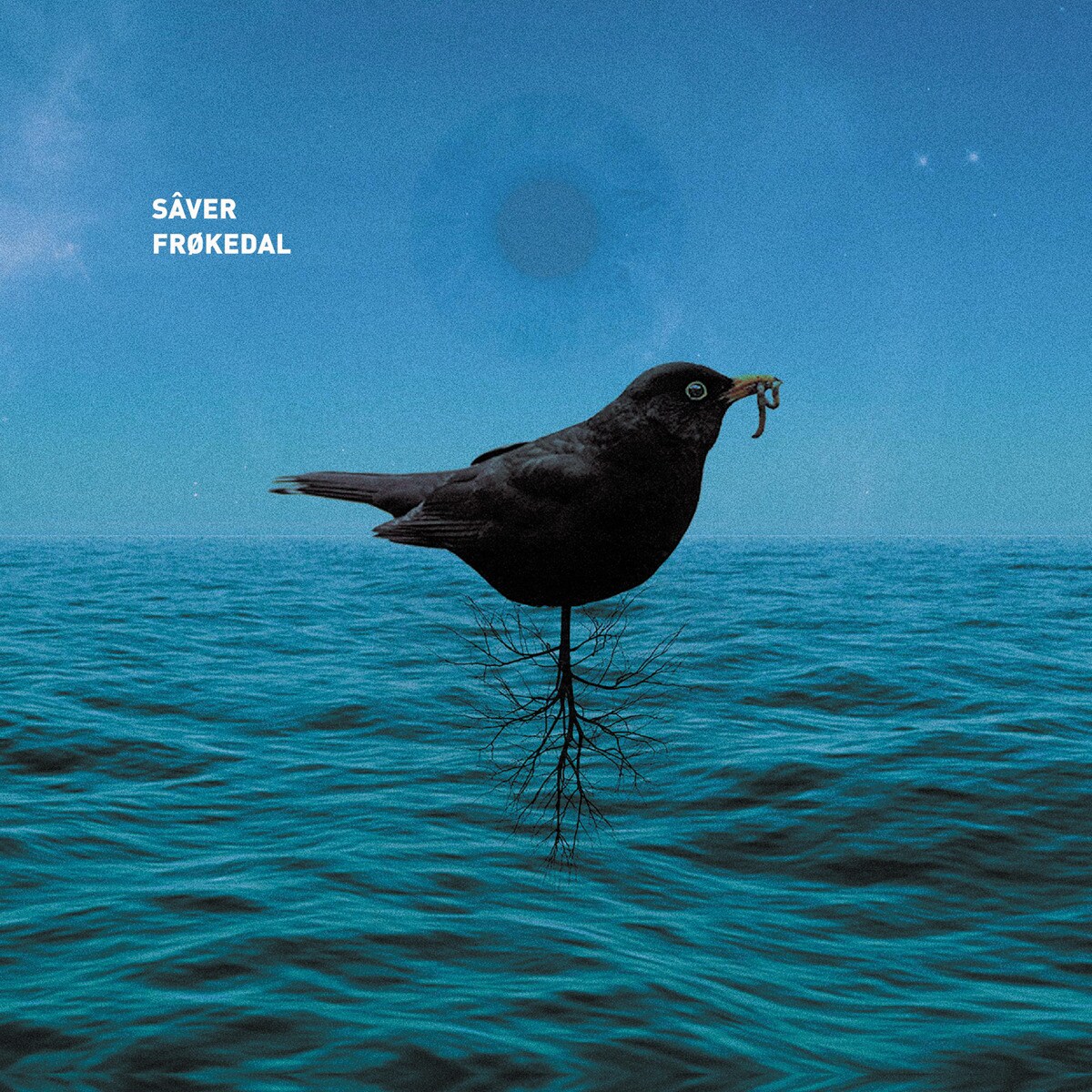 Imagem 0 de Split EP (LP-Vinil)