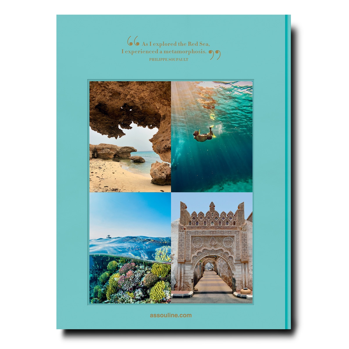 Red sea: the saudi coast 3