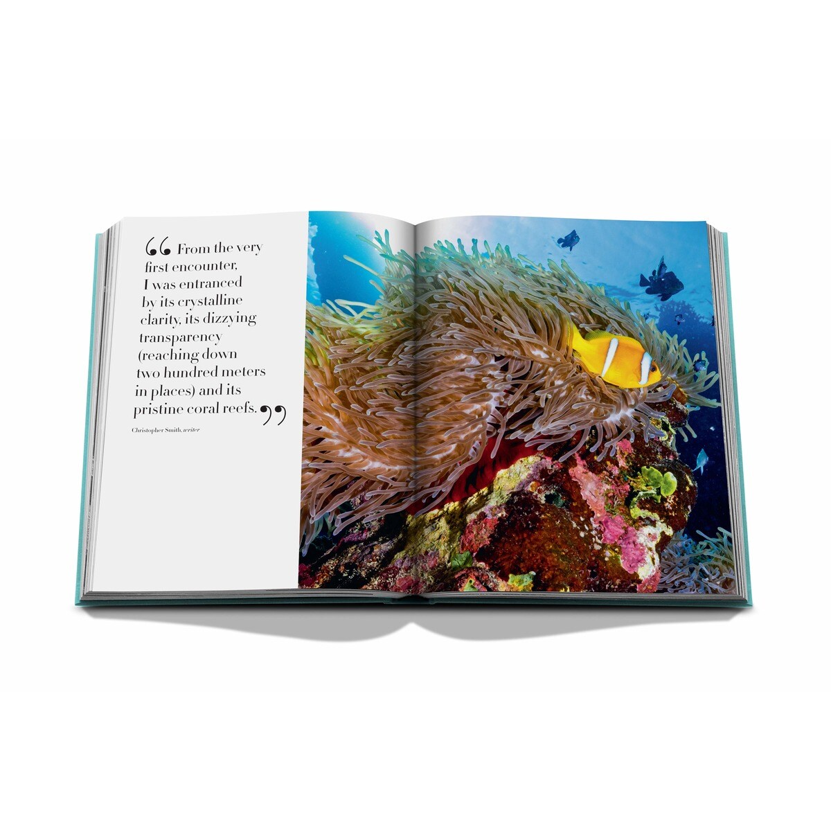 Red sea: the saudi coast 7
