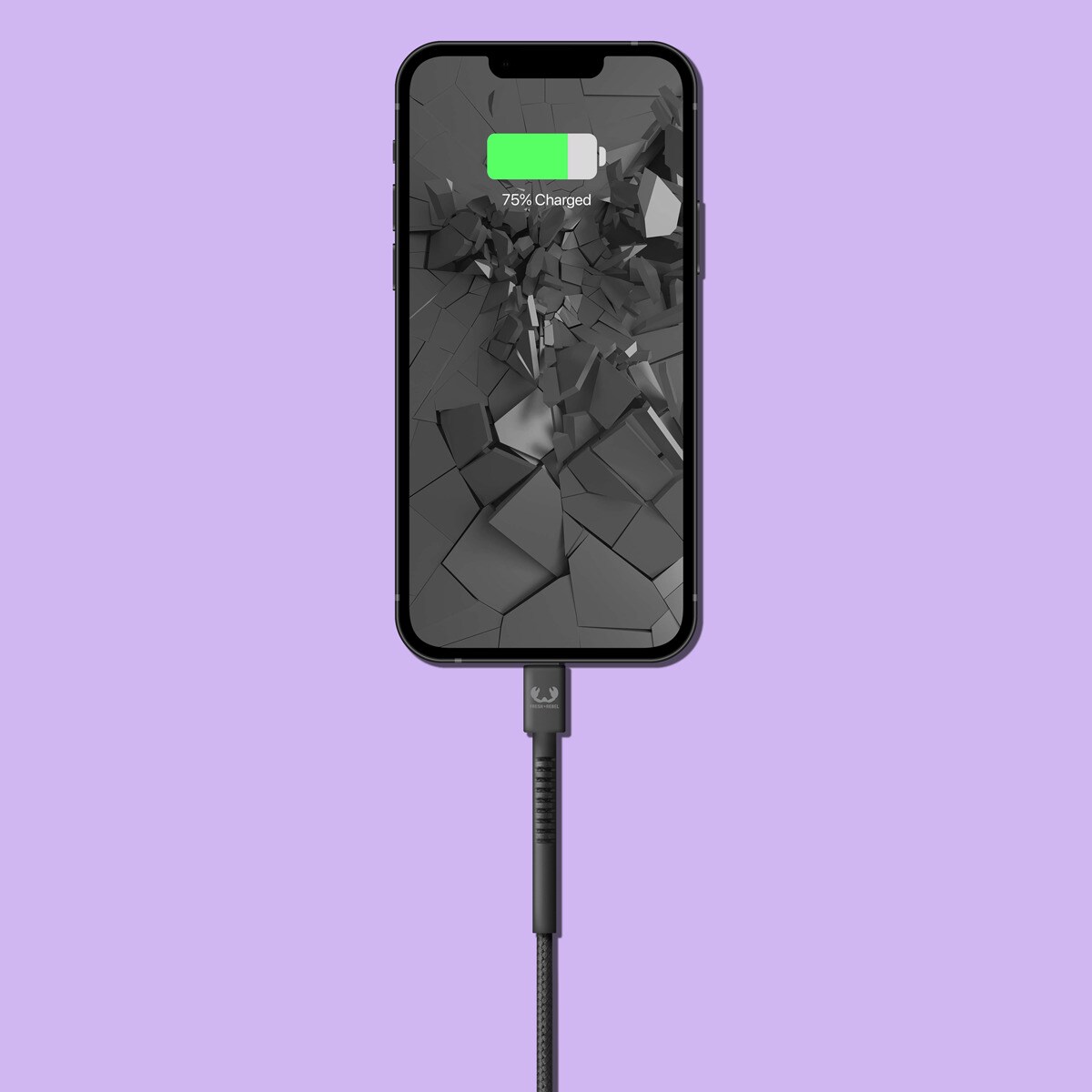 Cabo USB C a USB C de 2 m - Storm Grey 4