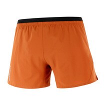 Short de hombre Cross 5" Salomon