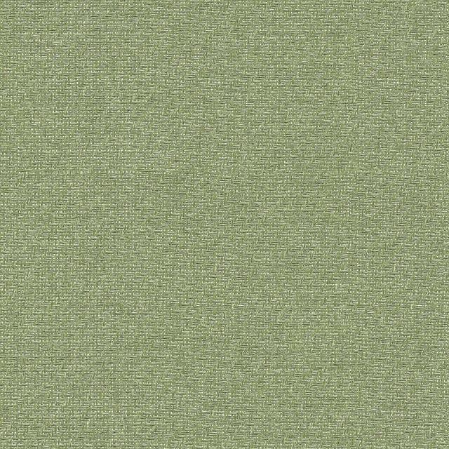 Papel pintado Liso texturizado Raffias+ Coordonné