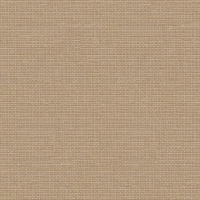Papel pintado Tejido Raffias+ Coordonné