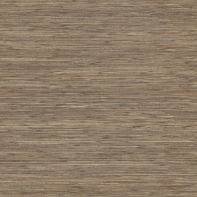 Papel pintado Horizontal Raffias+ Coordonné