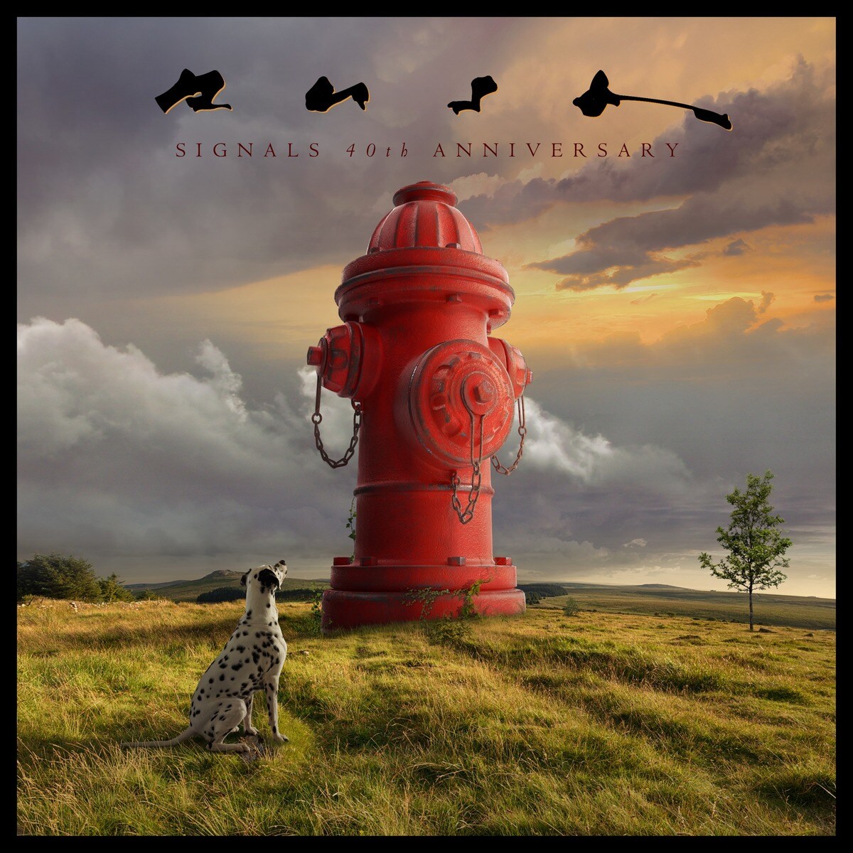 Imagem 0 de Signals 40 Aniversario (Edição Súper Deluxe) (Blu Ray + CD + 5 LP-Vinil)