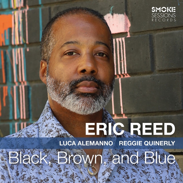 Black brown and blue CD