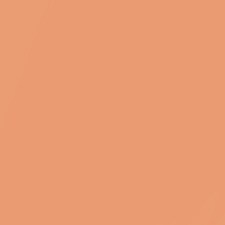 Caramel C85