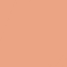 Soft Honey N77
