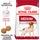 Royal Canin Ração para Cão Médio Adulto a Partir dos 12 Meses embalagem 15 kg
