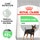 Royal Canin Ração para Cão Digestive Care Mini embalagem 8 kg