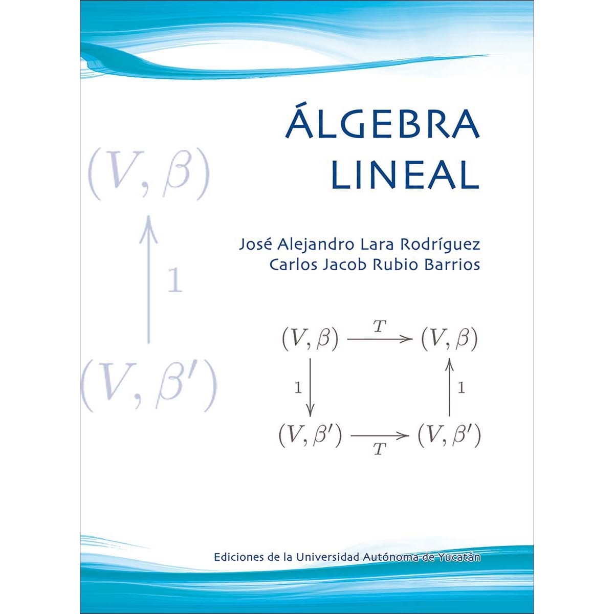Imagem 0 de Álgebra lineal