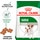 Royal Canin Ração para Cão Mini Adulto a Partir dos 10 Meses até 10 kg embalagem 4 kg