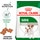 Royal Canin Ração para Cão Mini Adulto a Partir dos 10 Meses embalagem 8 kg