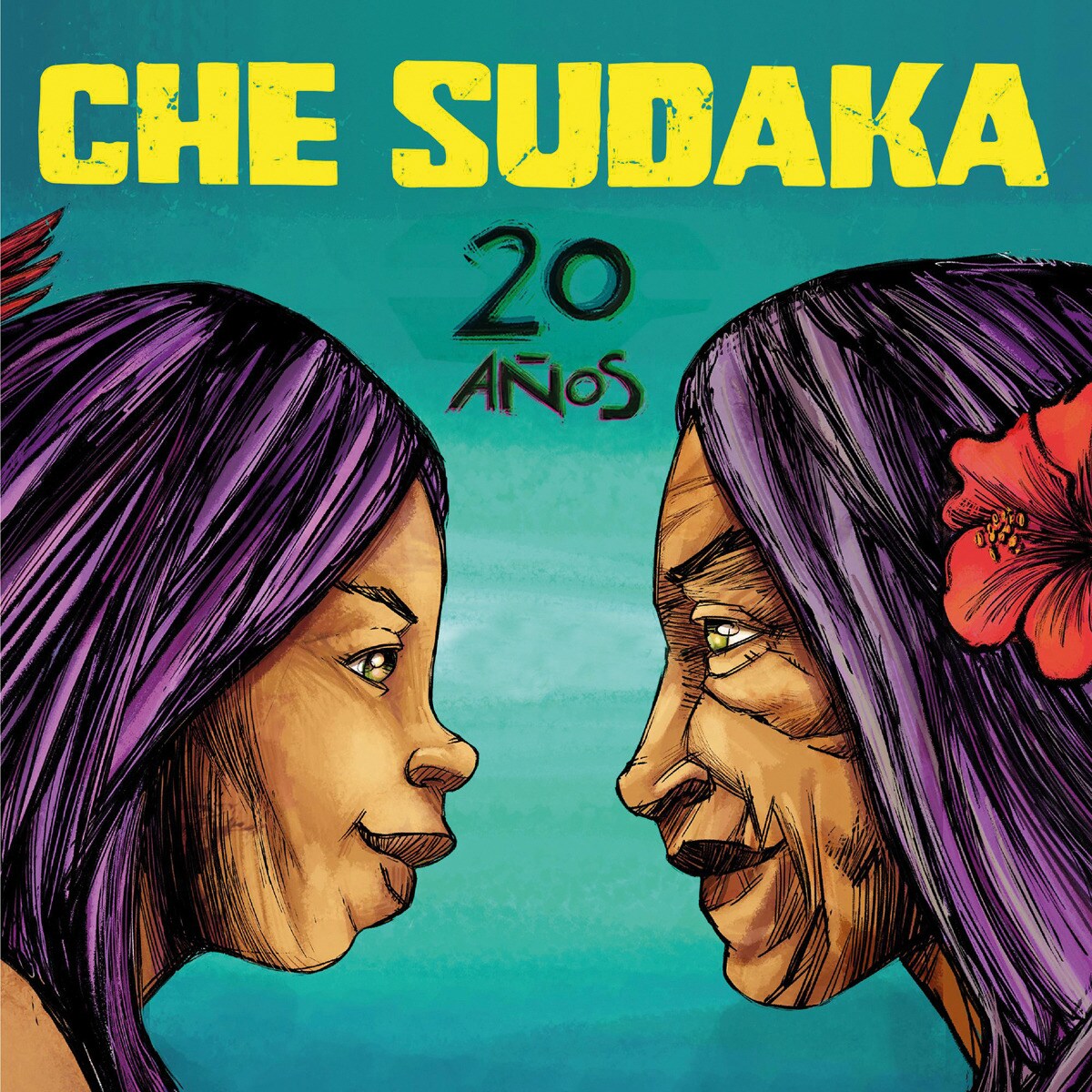 Imagem 0 de 20 años (LP-Vinil)