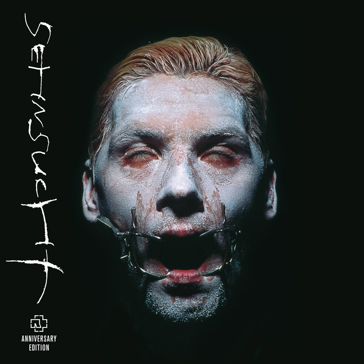 Imagem 0 de SEHNSUCHT Anniversary Edition (LP-Vinil)