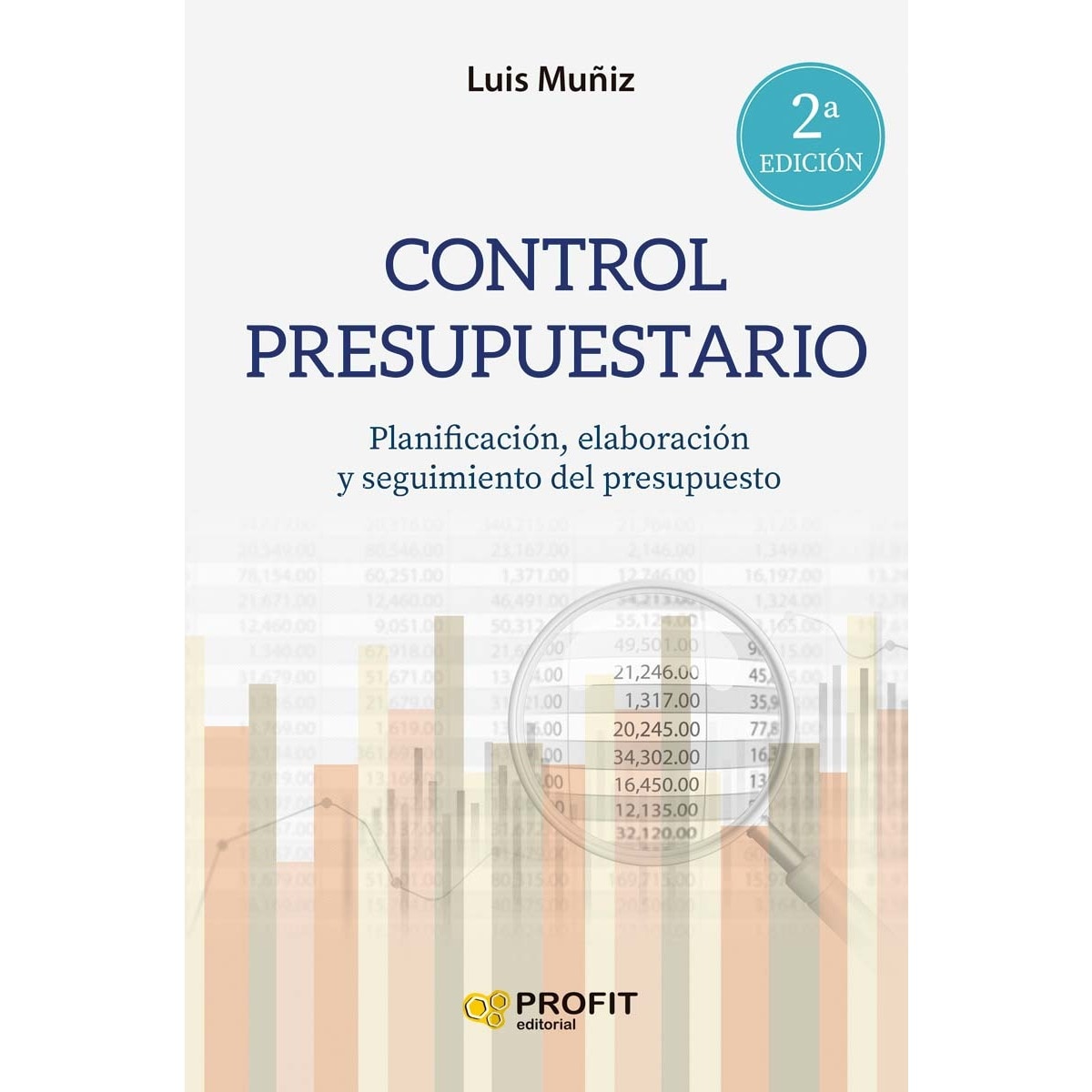 Imagem 0 de Control presupuestario: Planificación, elaboración, implantación y seguimiento del presupuesto (Capa mole)
