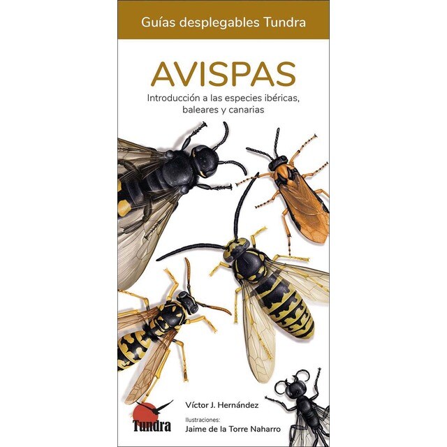 Avispas - guias desplegables tundra