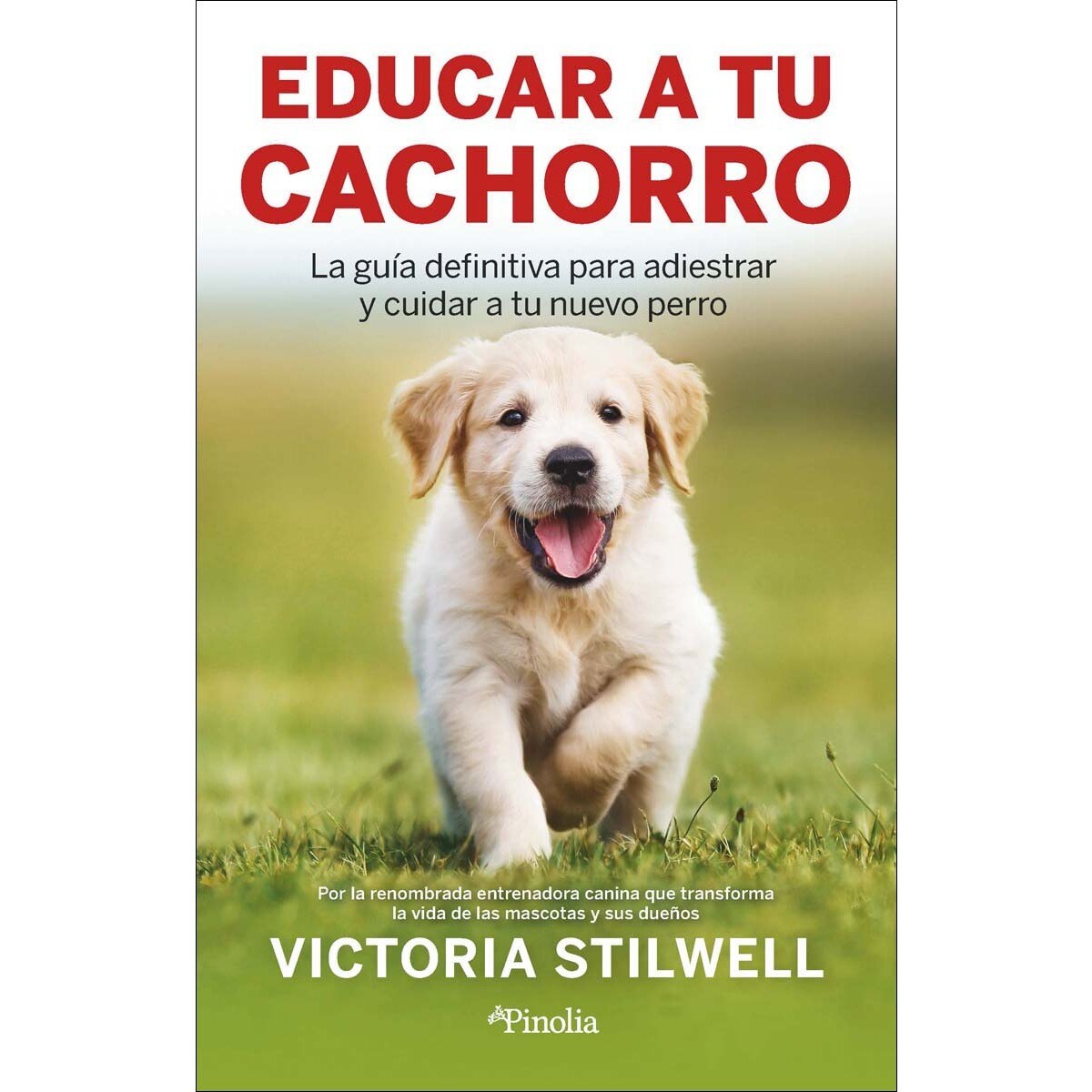 Imagem 0 de Cómo educar a tu cachorro: La guía definitiva para adiestrar y cuidar a tu nuevo perro (Capa mole)