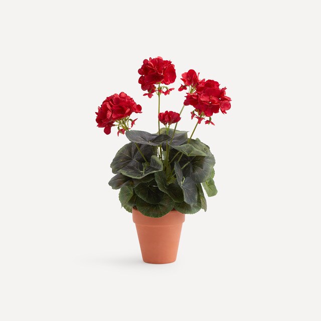 El Corte Inglés Geranium artificial plant