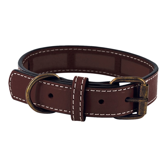 Fred & Rita – Collar Fred & Rita para perros cuero. Marrón