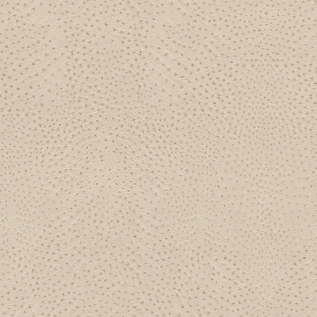 Papel pintado TNT Avestruz Kenya Rasch