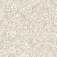 Rasch Papier Peint Intissé Gris Clair 537680 - Collection Curiosity