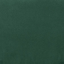 Verde-escuro
