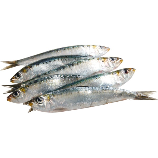 Sardinha Peso Aproximado por unidade 80 g
